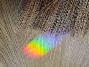 Annelies 04 - Regenboog in huis